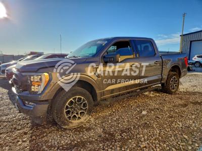 1FTFW1E5XPKD95287 Ford F-150 2023