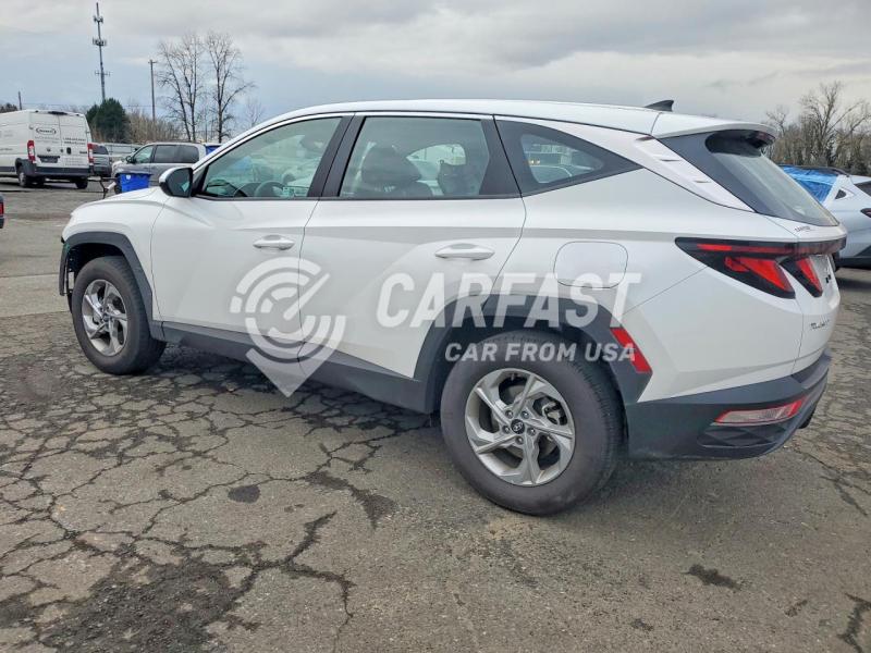 2024 Hyundai Tucson 2.5 Se white Lot 77199345 Vin 5NMJACDE9RH395995